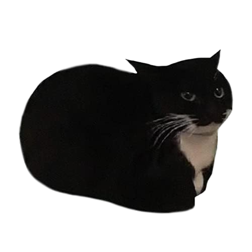 Maxwell cutout