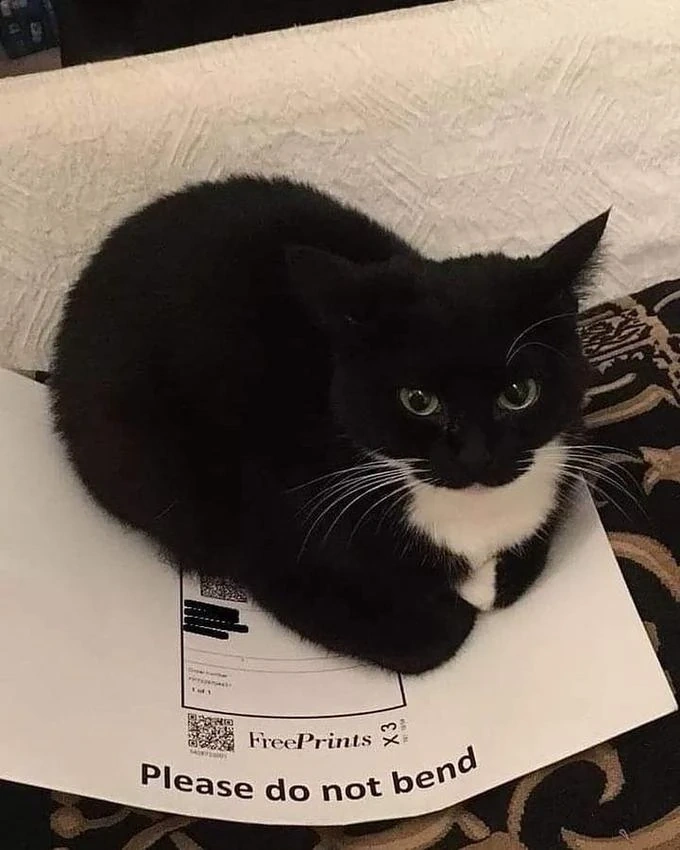 Maxwell on paper